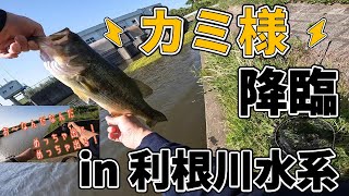 【利根川水系】カミ様降臨！？