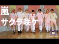 [+81 DANCE STUDIO] ARASHI - Sakura Sake / Performed by Travis Japan