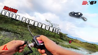 KATAK PEMBUNUH!! | Soft Frog Baru EXP DRAGON [ Haruan Size Idaman] - Vlog 39