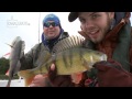 flams u0026 trams ft. team hajmat perch fishing with mcrubber big bass