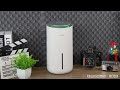 provirtec air purifier ap01 and humidifier hc03 the perfect combo