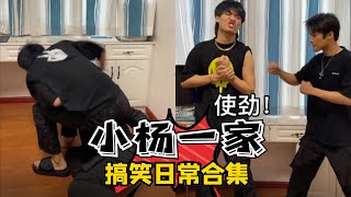 【小杨一家搞笑日常合集】小杨哥被老哥套路，隔着屏幕都感觉痛蓝光版💦 #疯狂小杨哥 #搞笑日常 #搞笑段子🤣