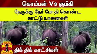 கொம்பன் Vs கும்கி - நேருக்கு நேர் மோதி கொண்ட காட்டு யானைகள் - திக் திக் காட்சிகள்