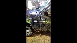 Ночная охота за 1.5 минуты