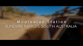 Touring: Moolooloo Station, Flinders Ranges