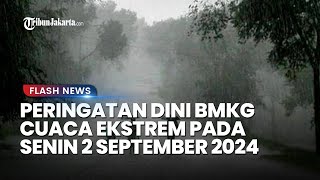 Cuaca Besok Senin 2 September 2024, BMKG: Sumatera Hujan Sangat Lebat, Papua Waspada Hujan Ekstrem