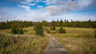 Dolina Górnego Sanu, wędrówka do Źródła Sanu - Bieszczady 2020