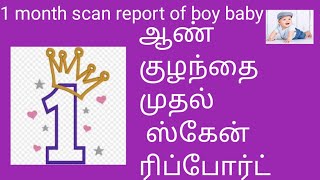 ஆண் குழந்தை முதல் ஸ்கேன்/First scan report of boy baby