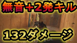 【R6S】神武器発見!? ルイソンの上位互換が実装!?無音+2発キル132ダメージ出るブッ壊れ性能【レインボーシックスシージ】