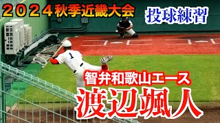 智辯和歌山エース　渡辺颯人ブルペン投球！【２０２４秋季近畿大会】