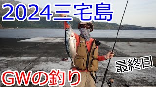 ２０２４年４月　ＧＷ三宅島で釣り　最終日　ショアジギング　良型スマ