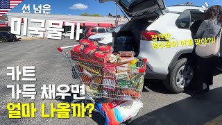 🇺🇸미국에서 한국마트 마음먹고 털면 생기는 일 / 80만원이 나온다고?? / 선 넘은 미국 물가 / 미국 가족 식비💵