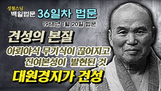 [날짜별 백일법문] 36일차 법문 \