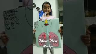 About Lungs | Science Project | Jahnavi Dhruv Pandya