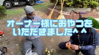 【埼玉の植木屋さん】マンションの草刈りを行なってますよ！R5.9.19#富士見グリーンガーデン #造園 #植木屋 #社員募集 #除草 #草刈り #埼玉県 #富士見市