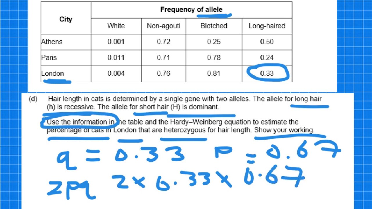 Hardy-Weinberg Masterclass - A-Level Biology - YouTube