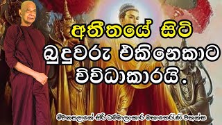 අතීතයේ සිටි බුදුවරු එකිනෙකාට විවිධාකාරයි.