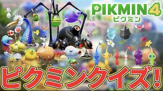 【ピクミン４】何問正解できる？ピクミンクイズ！【Pikmin】