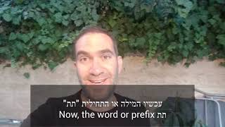 Your Daily Dose of Hebrew | מצפה תת-ימי