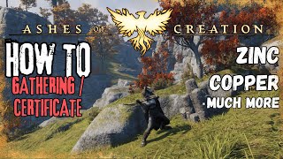 Certificates / Gathering Locations | Ashes of Creation | How to | Tips and Tricks |  Vol.1