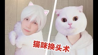 【猛男必看】如果猫猫变成人…