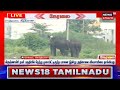 krishnagiri நகர் பகுதியில் நேற்று முகாமிட்டிருந்த elephant இன்று அதிகாலை விவசாயியை தாக்கியது