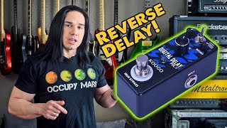 Reverse Delay for under $40! - Koogo Digital Delay - Demo / Review