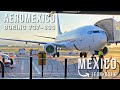 TRIP REPORT: Aeromexico B737-800 (ECONOMICA) | Mexico City - Leon/Bajio | Reporte de vuelo FHD