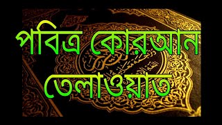 হৃদয় জুড়ানো তেলাওয়াত বাংলা অনুবাদ সহ কোরআন তেলাওয়াত||