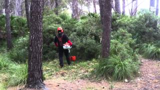 DEMOSTRACIÓN DESBROZADORA STIHL FS 560CEM MUNNÉ MAQUINARIA