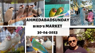 SUNDAY BIRDS MARKET AHMEDABAD || RAVIVARI BAZAR 30-04-2023