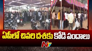 APలో చివరి దశకు కోడి పందాలు | NTV