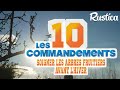 Les 10 règles du verger avant l'hiver