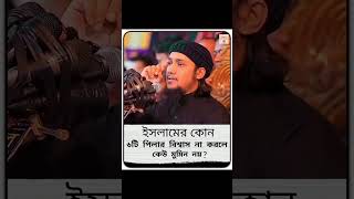 ইসলামের কোন ৬টি পিলার বিশ্বাস না করলে কেউ মুমিন নয়?#abu_taha_muhammad_adnan #abu_toha_adnan #waz