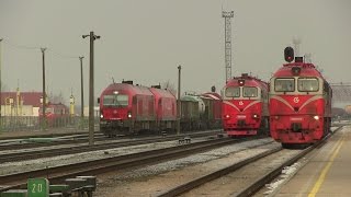 Интенсивное движение на ст. Радвилишкис / Intense traffic at Radviliškis station