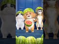 dudi dam phiên bản đội dưa hấu của biệt đội meow và chó 🐶🐱 have fun kidsoftiktok kids forkids