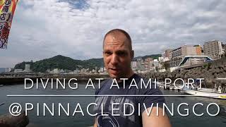 SCUBA Diving the Shipwreck at Atami, in Shizuoka, Japan