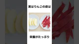 意外と知らない！？りんごの雑学 #shortvideo #shortsfeed #雑学 #shorts