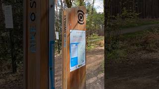 Blue trail at Swinley MTB Forest