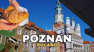 How to spend 2 Days in Poznan - Poland 🇵🇱 - Travel Vlog 2024 - Where to get St Martins Croissant