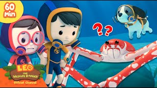 Giant Crab with 7 Legs?! 🦀 | Ocean Bed Animals | Leo the Wildlife Ranger | Kids Cartoons