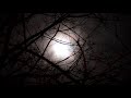Dee Yan-Key  :  Nights in the Woods