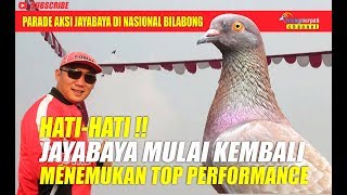 HATI-HATI JAYABAYA MULAI UNJUK GIGI DI TEAM ROYAL