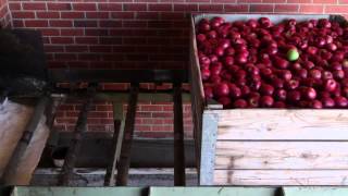 A Day In The Life Of An Orchard Worker