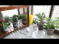 sPlant Automatic Watering System Plants Drip Irrigation Kit, Installation Steps