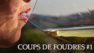 Bourgogne Aligoté - Domaine Tauperot Merme / Coups de Foudres #1