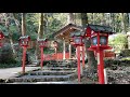 a relaxing hike near kyoto japan｜from kurama temple to kifune shrine｜鞍馬から貴船へゆったりお散歩