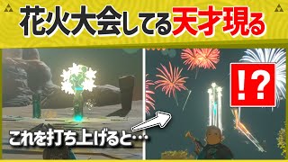 【天才】流星群が流れる花火がすごいと話題に！【ティアキン】【面白クリップ集】