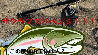 【サクラマス】サクラマスリベンジ戦！釣れるのか！？