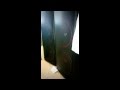 Cerwin Vega XLS-215 woofers dancing on only 2x60 watts amp at less than half power [excursion]